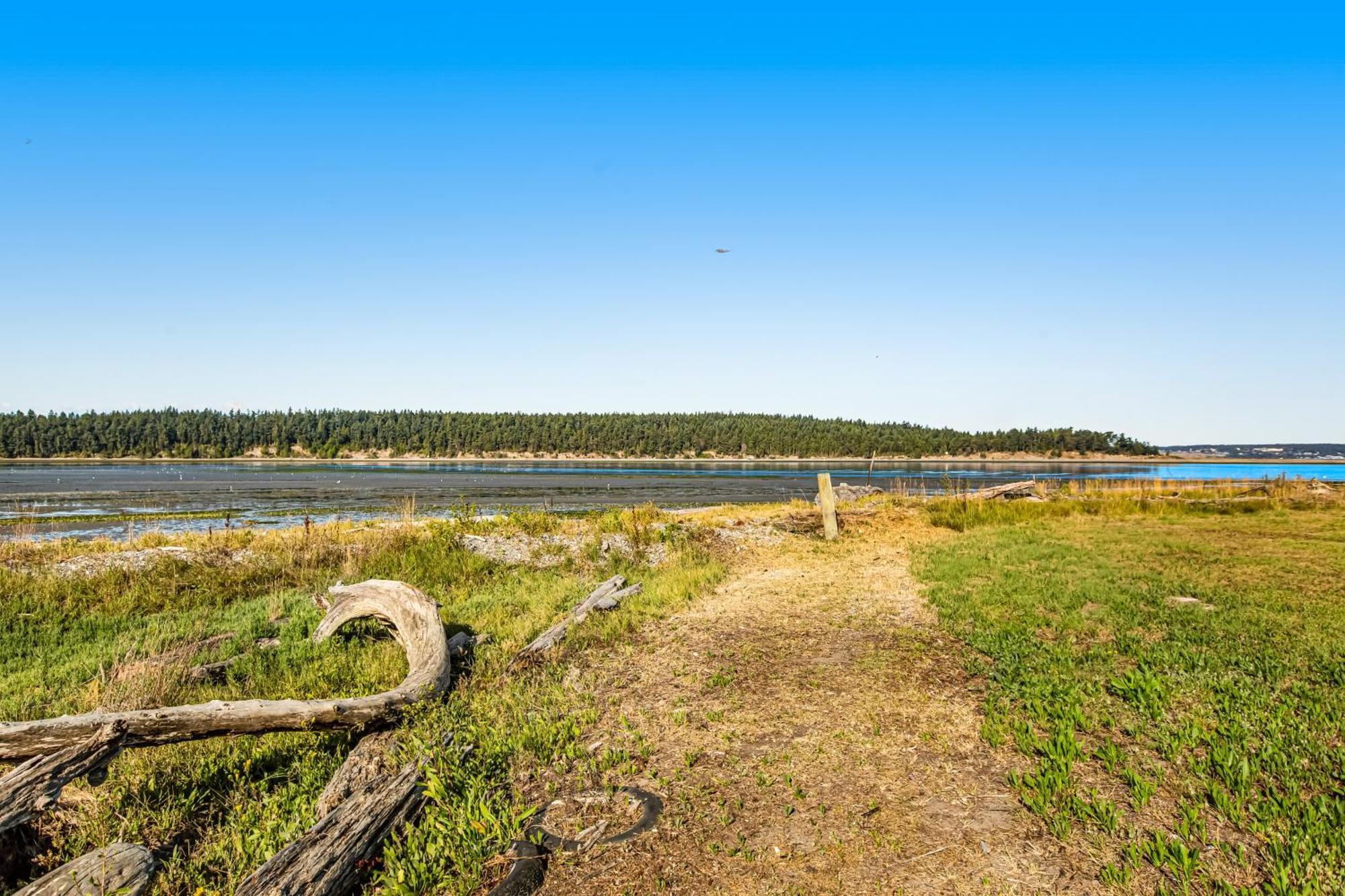 Marrowstone Island Beach Cabin Dış mekan fotoğraf